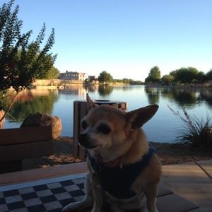 Meet your Posher, Bertha